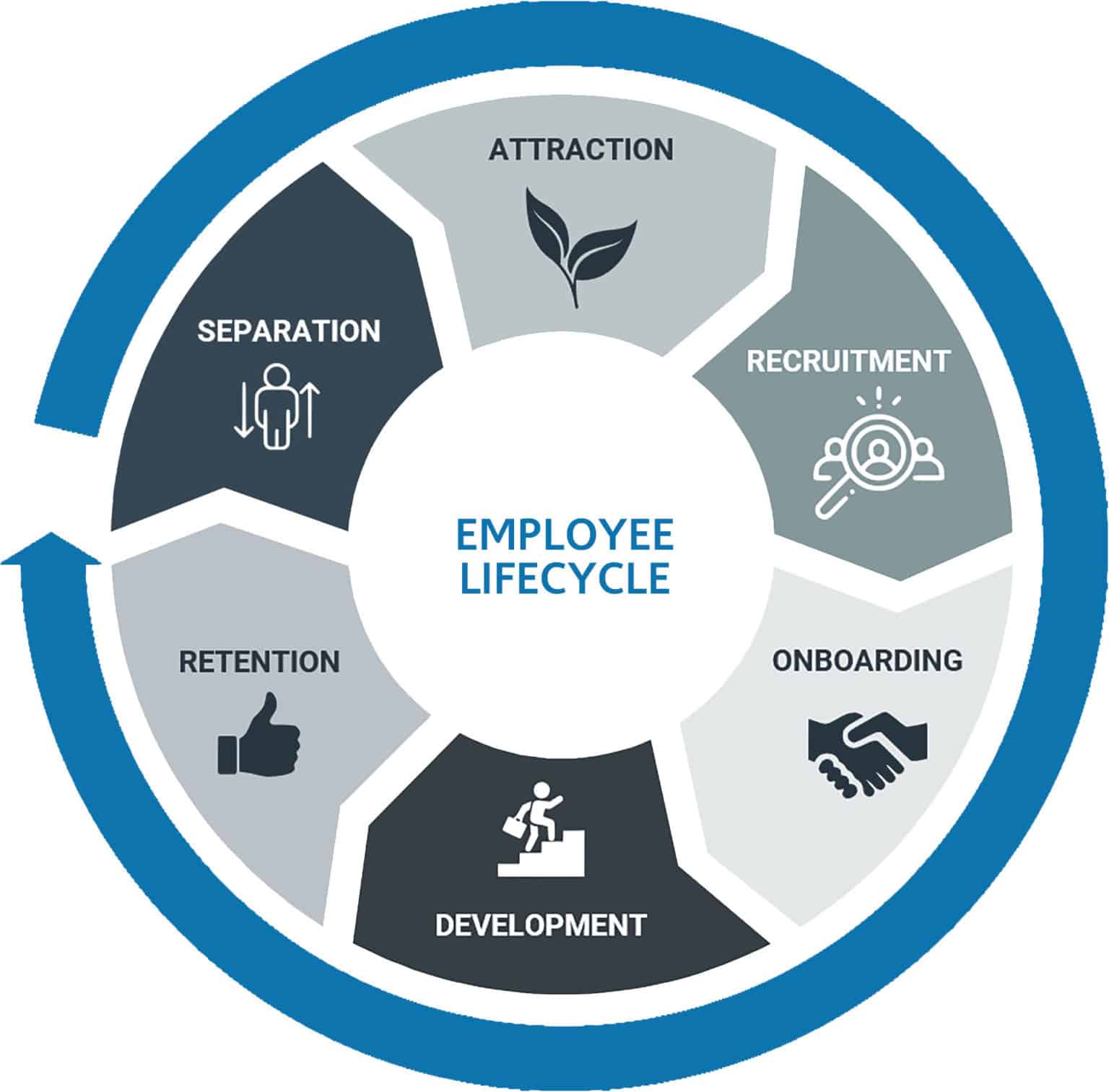 What Is Human Capital Management And Why Is It Import - vrogue.co